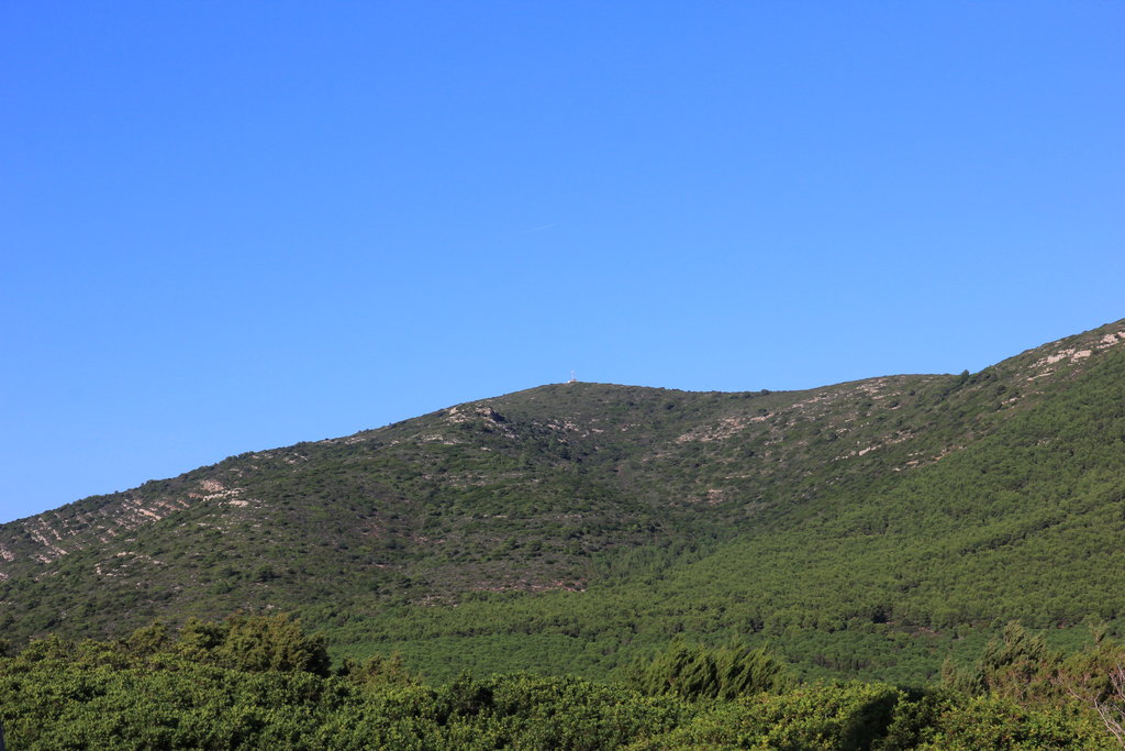Photo №1 of Monte Timidone