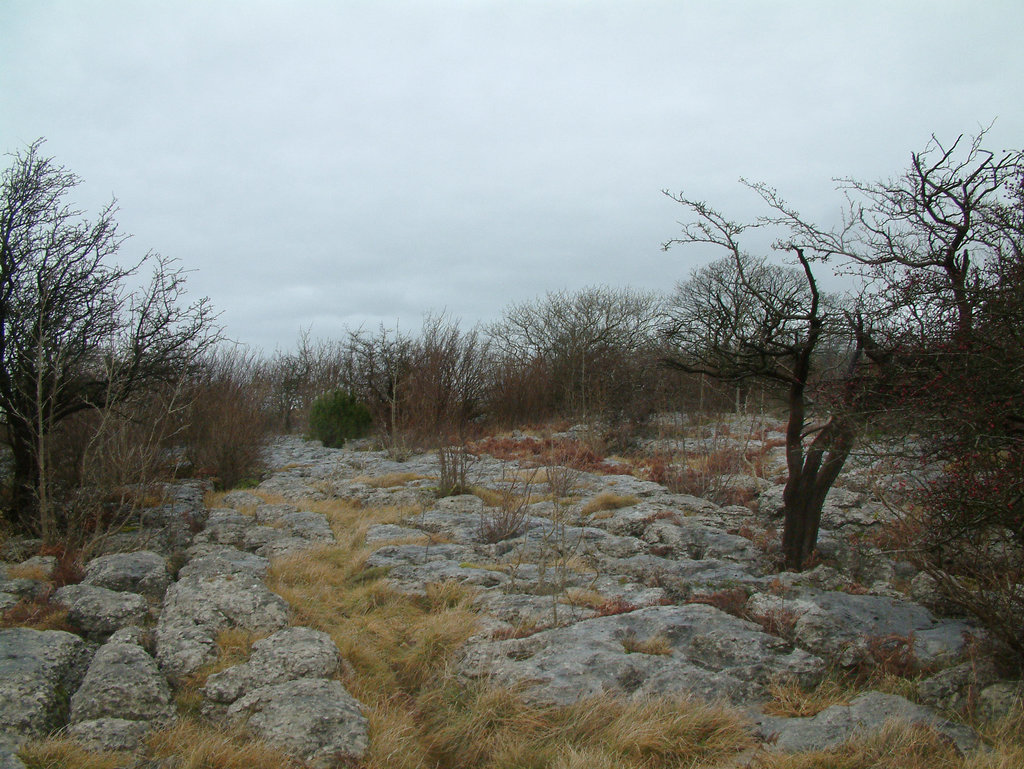 Photo №1 of Hutton Roof Crags