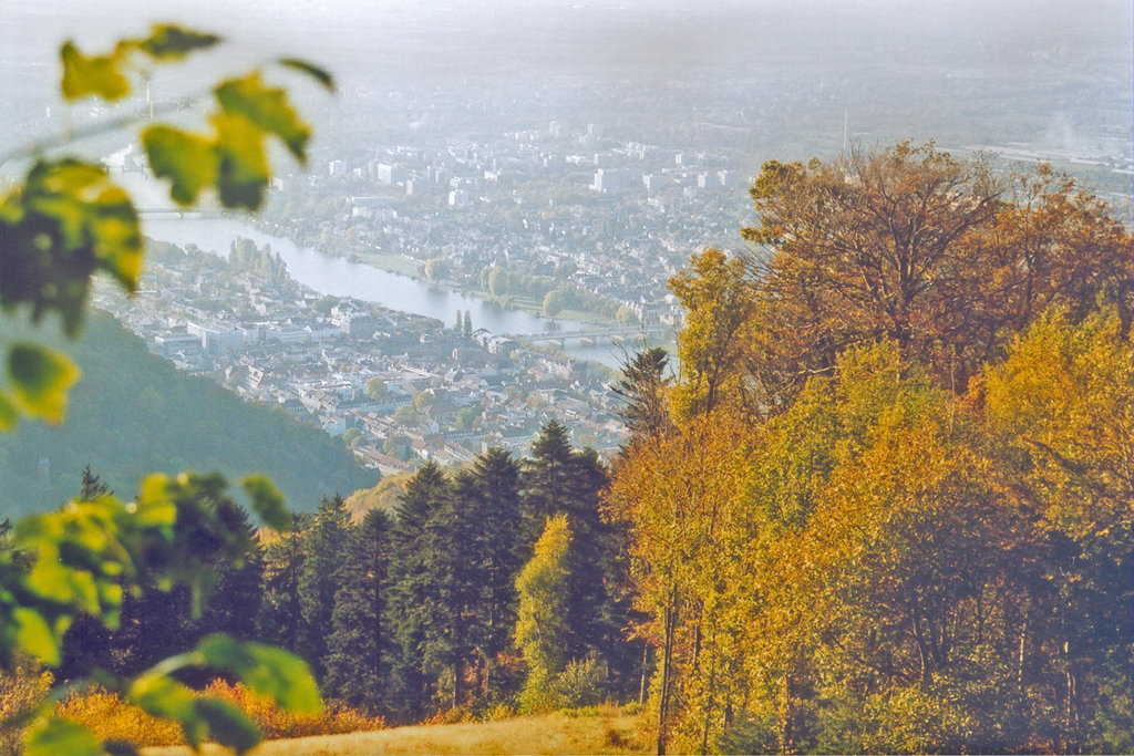 Photo №3 of Königstuhl