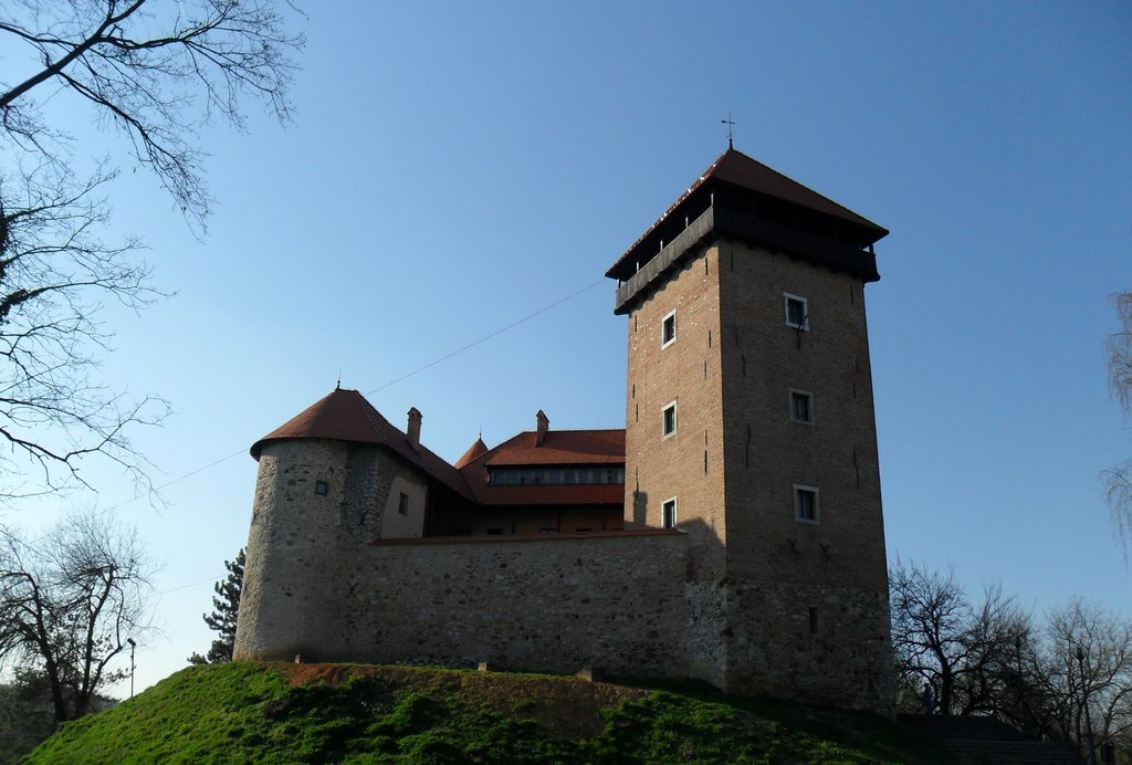 Photo №1 of Stari grad Dubovac