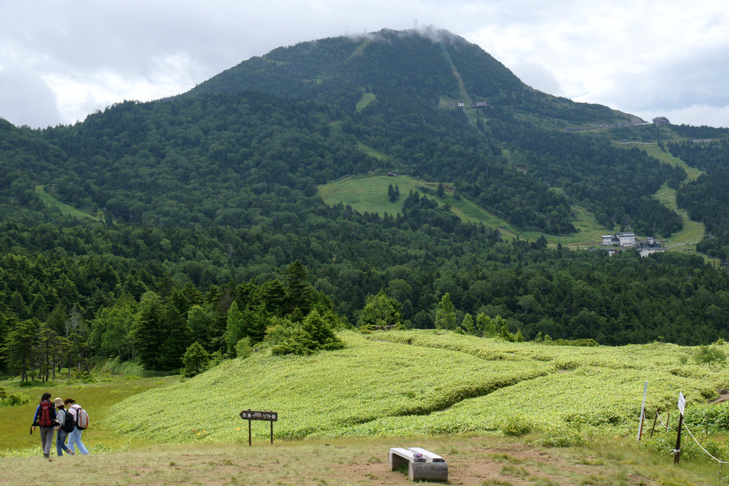 Photo №1 of Mt. Yokote