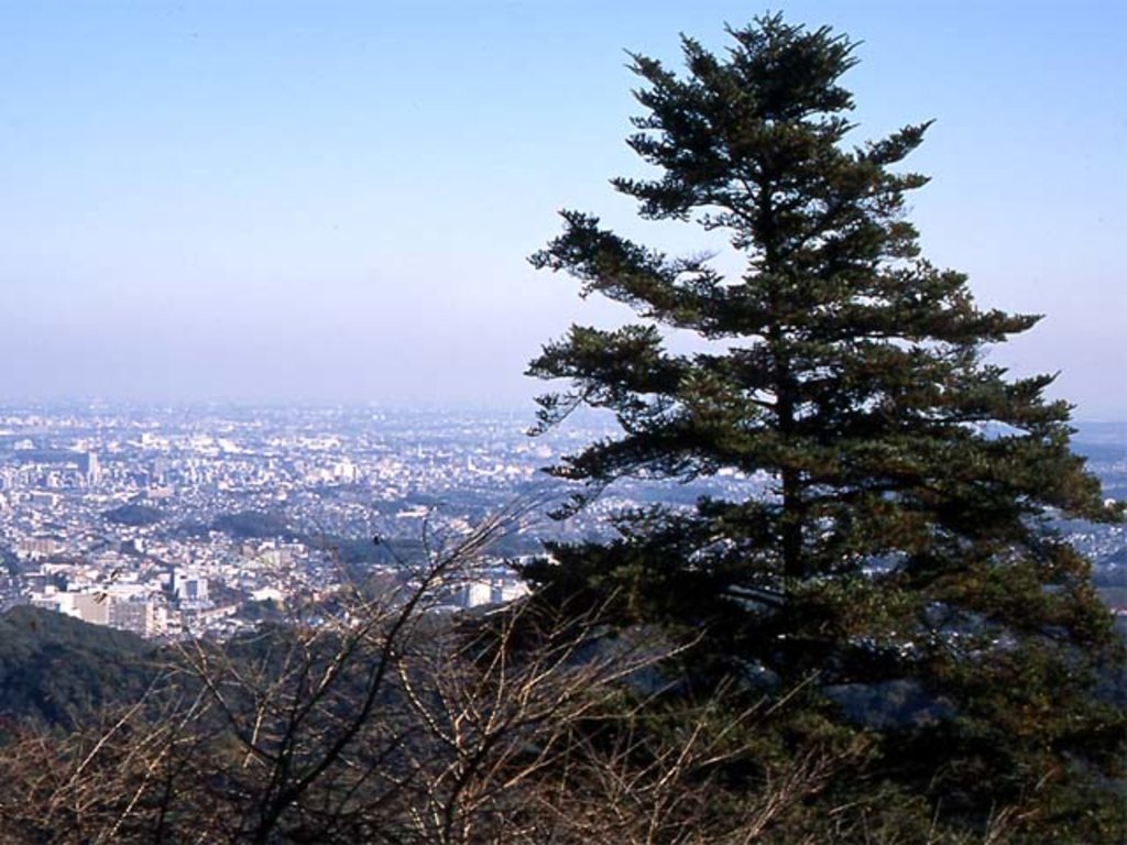 Photo №6 of Mount Takao