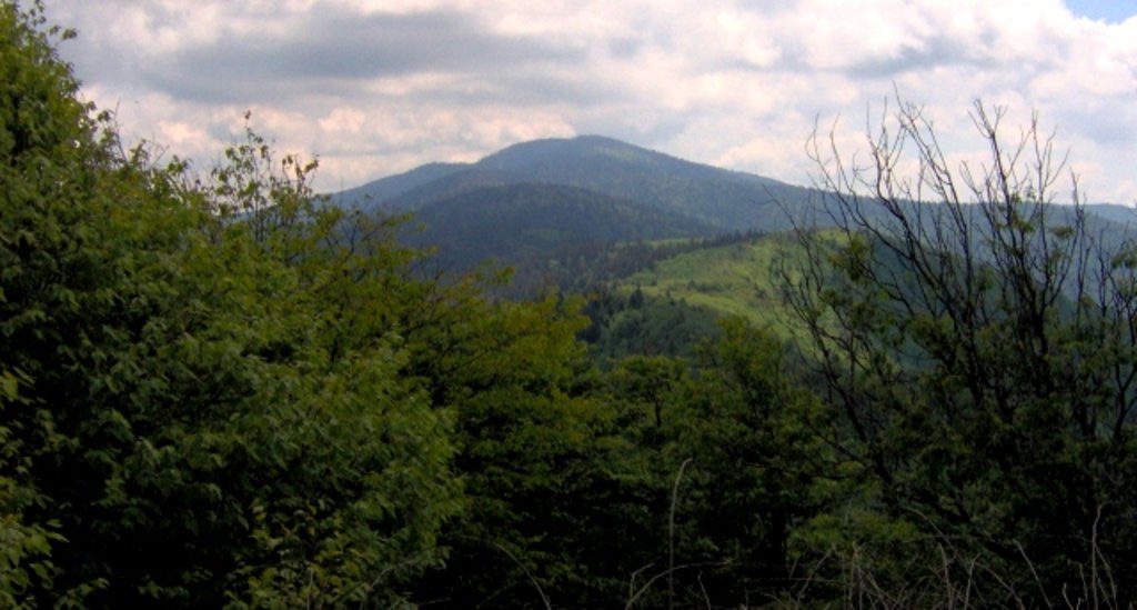 Photo №3 of Silers Bald