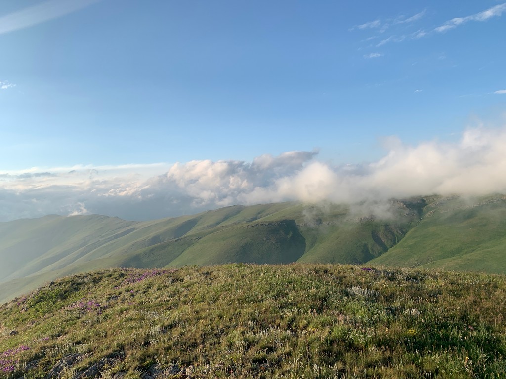 Photo №2 of Arjanots