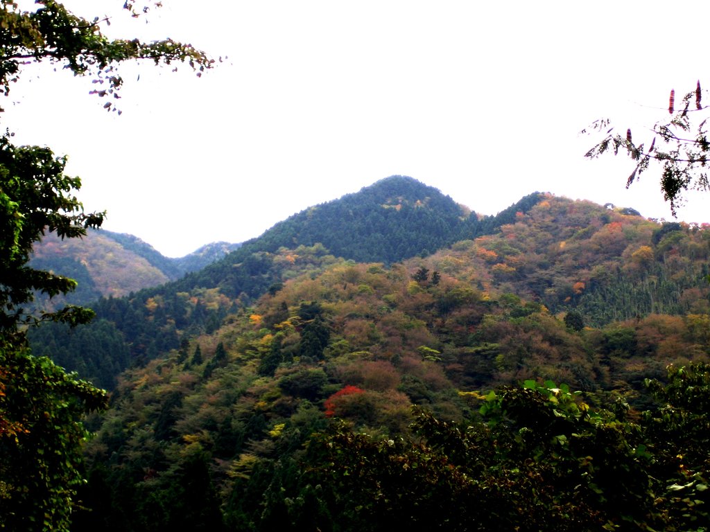 Photo №1 of Mt. Sefuri