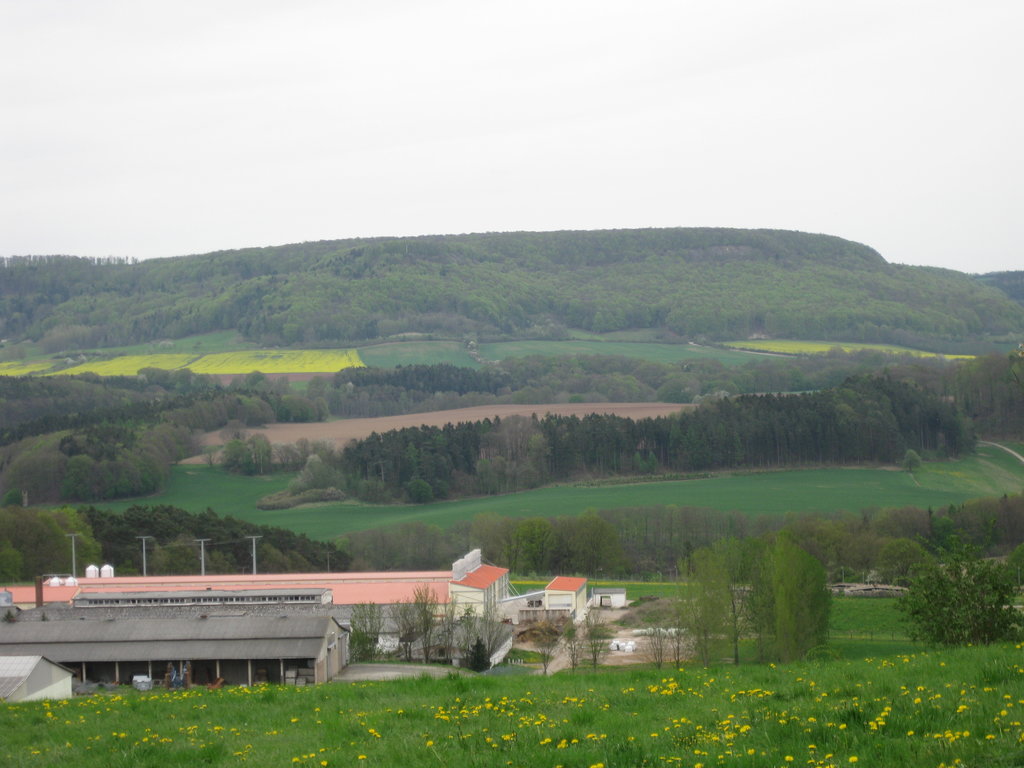 Photo №1 of Röhrigsberg
