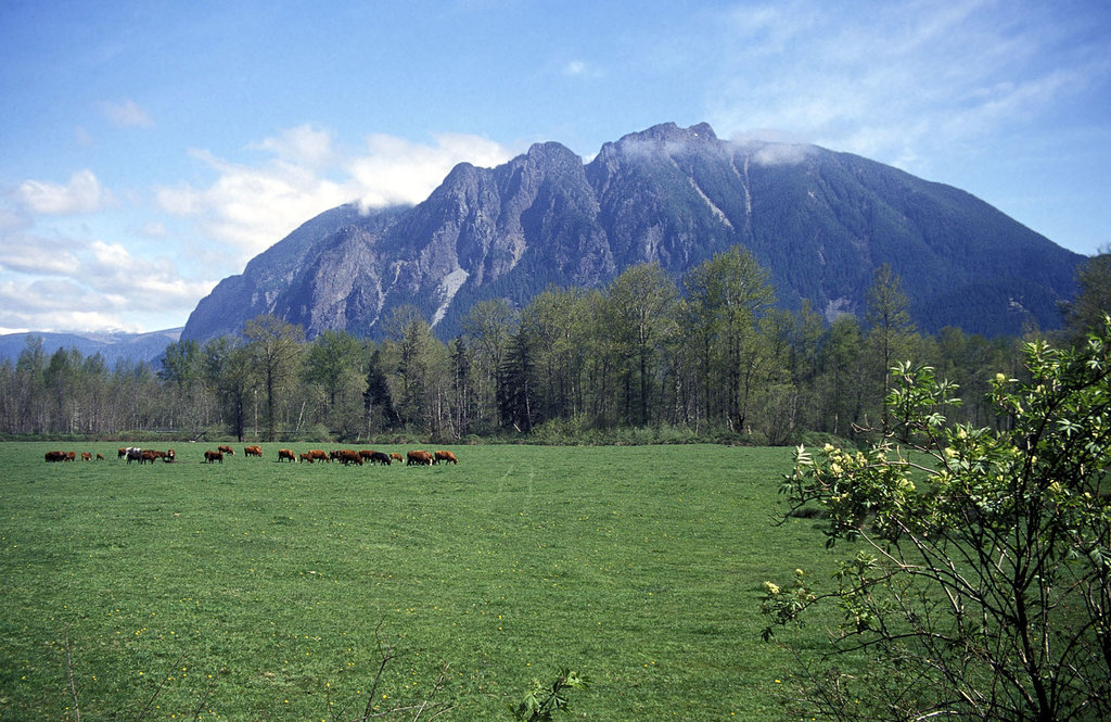 Photo №2 of Mount Si