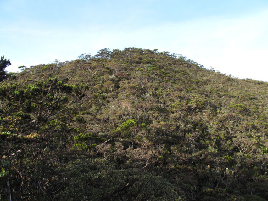 Photo №1 of Mount Tambuyukon