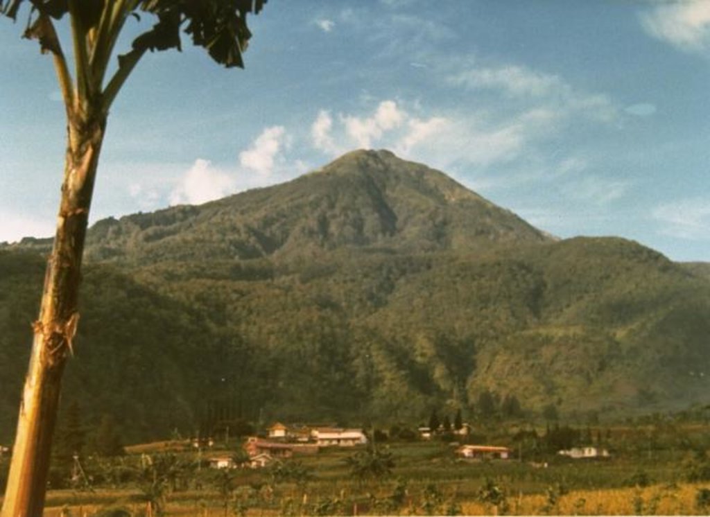 Photo №1 of Gunung Lawu