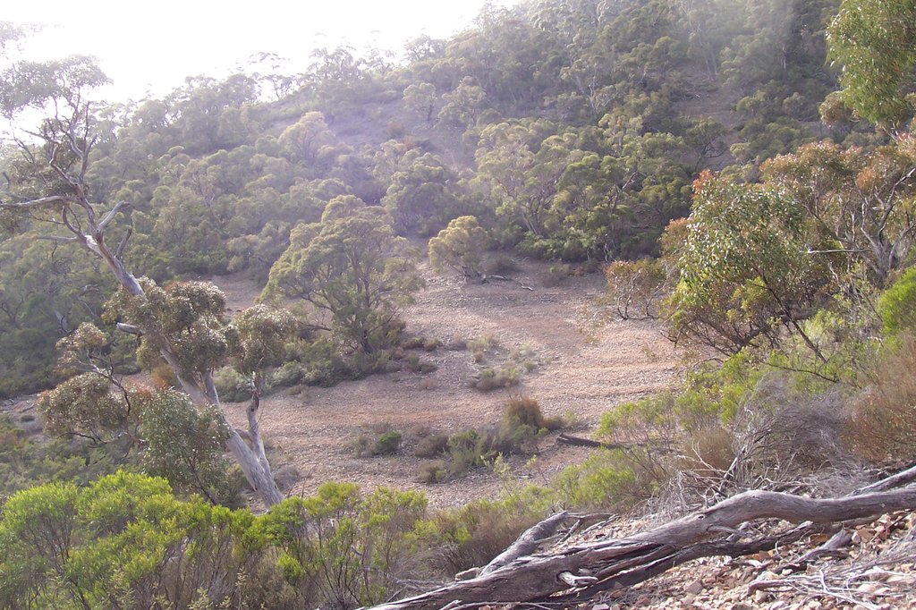 Photo №1 of Mount Remarkable