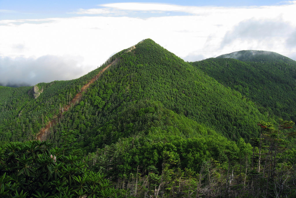 Photo №1 of Mt. Kobushigatake