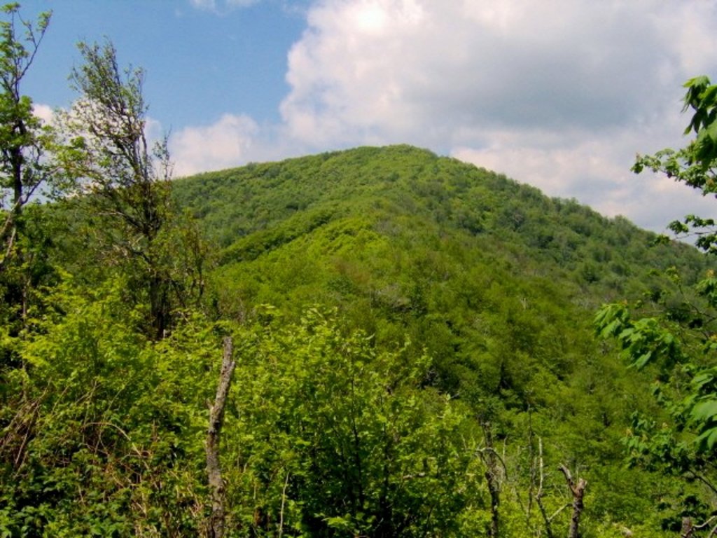 Photo №2 of Silers Bald