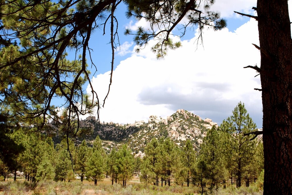 View of the Constitution 1857 National Park. Baja California