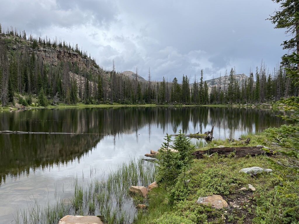 Photo №2 of Beaver Lake
