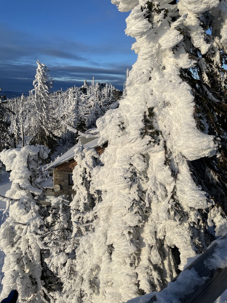 Photo №4 of Berggasthof Dreisessel