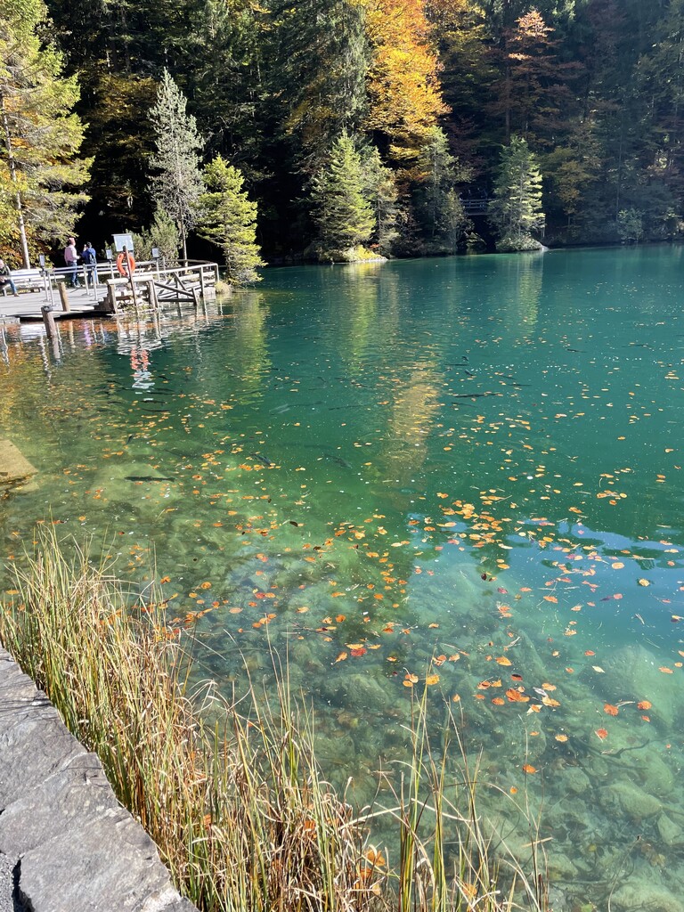 Photo №2 of Blausee