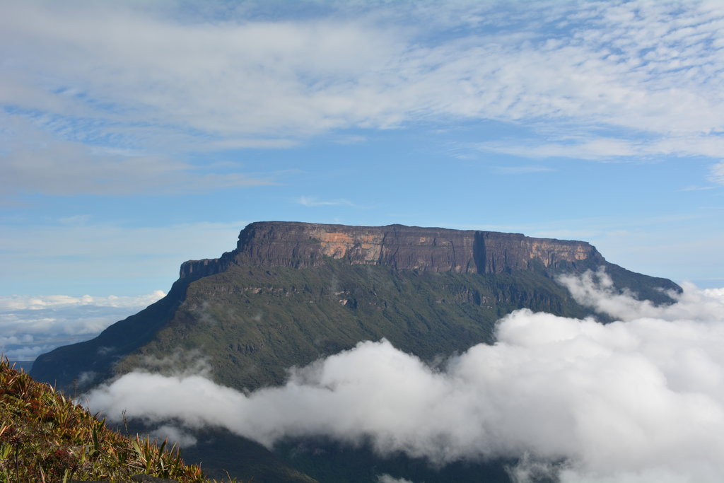 Guiana Highlands   Ilú Tepui   Southeastern Face.JPG