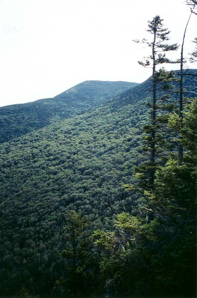 Photo №2 of Old Speck Mountain