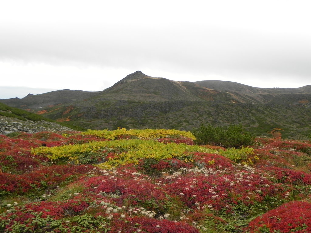 Photo №1 of Mount Eboshi