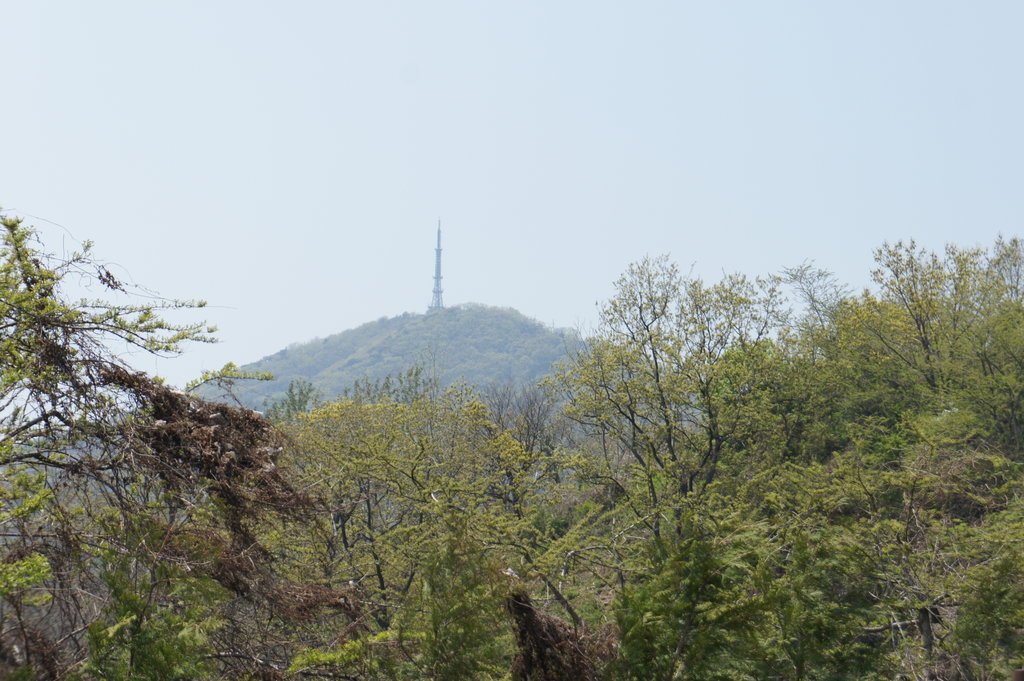 Photo №3 of Gyeyang Mt.