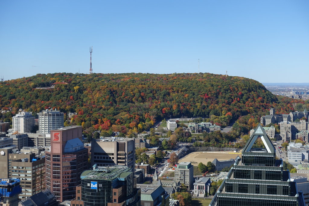 Photo №7 of Mont-Royal