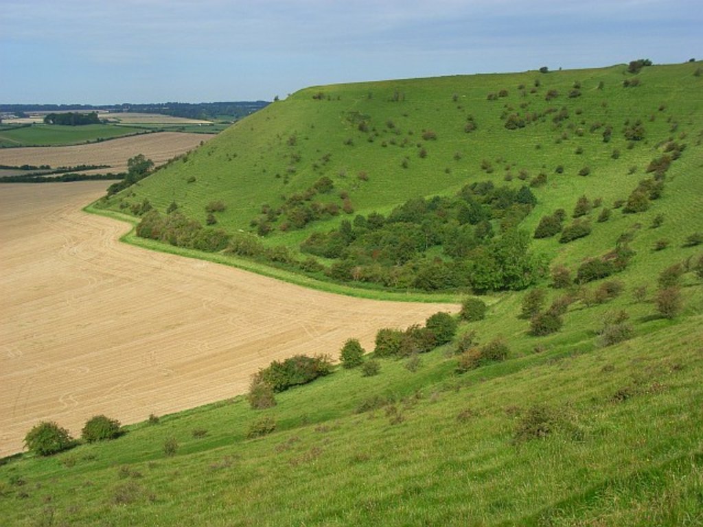 Cranborne Chase And West Wiltshire Downs Aonb