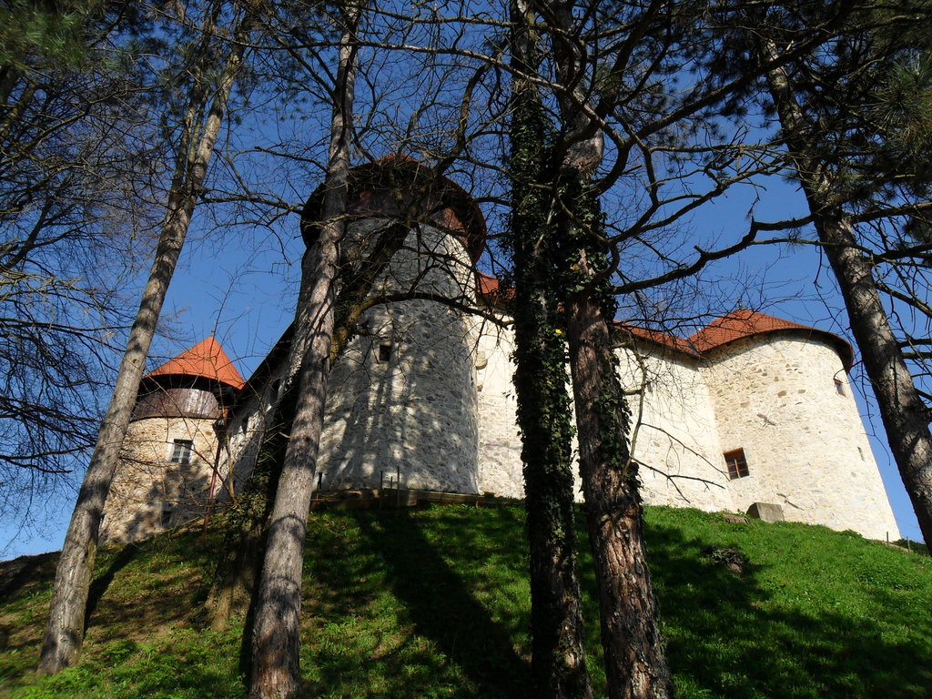 Photo №3 of Stari grad Dubovac
