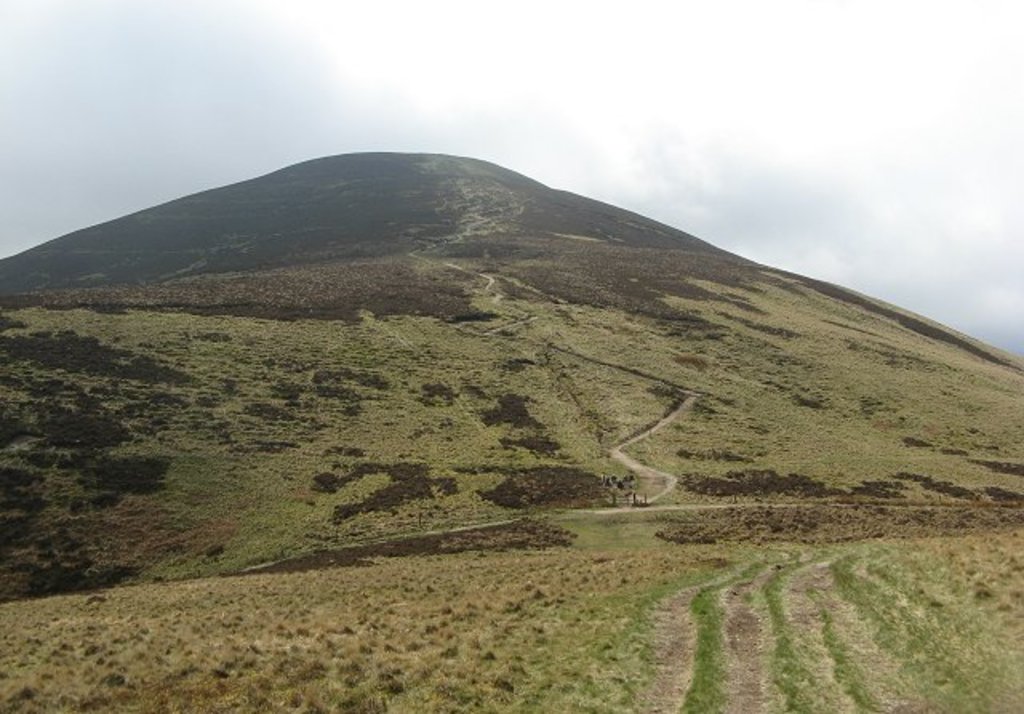 Photo №2 of Scald Law