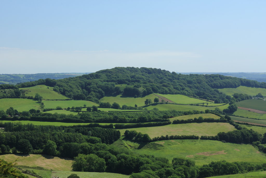 Photo №1 of Lewesdon Hill