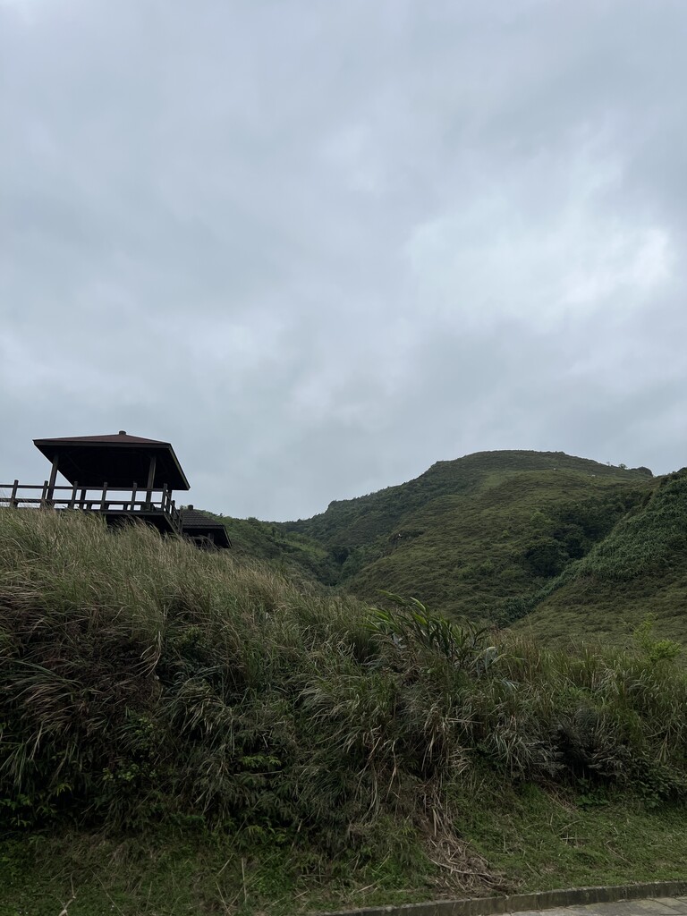Photo №5 of 