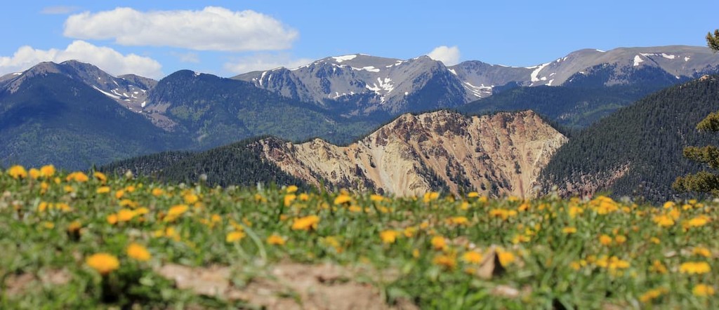 Red River, Carson National Forest in New Mexico