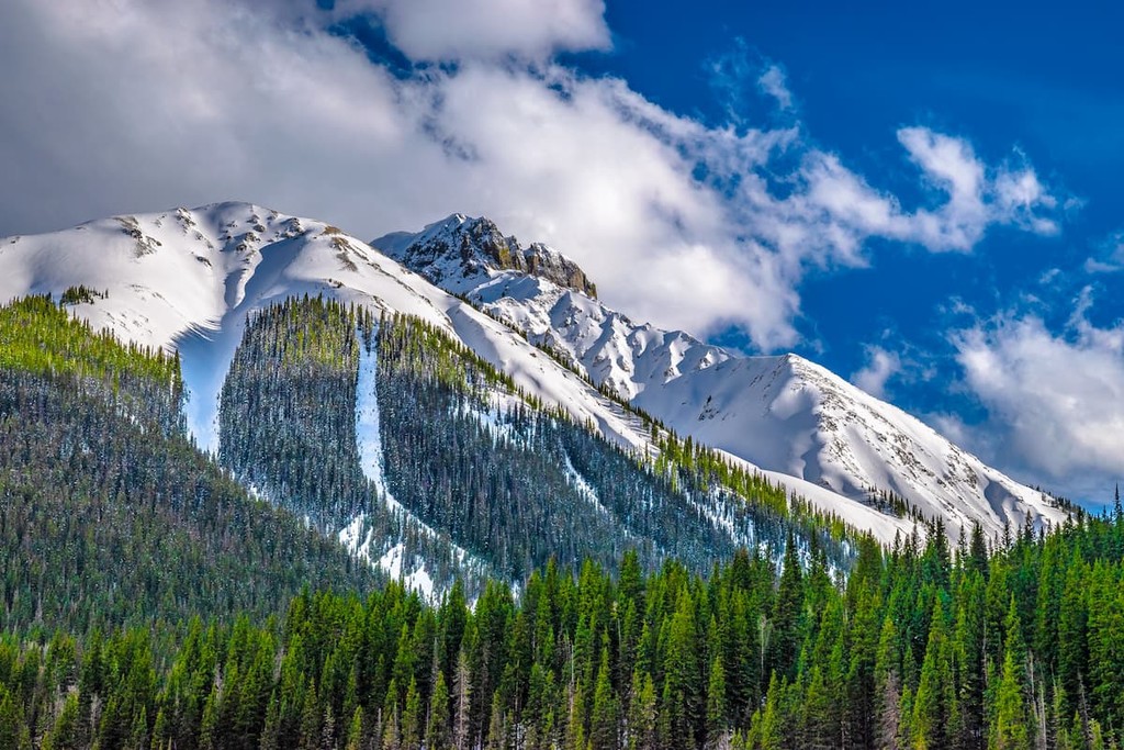 Carson National Forest