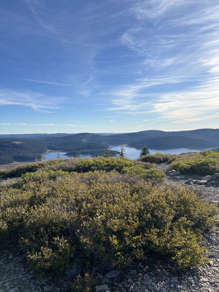 Grass Valley Bald Mountain