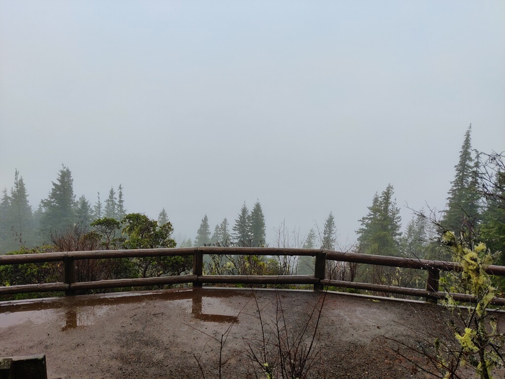 South Point