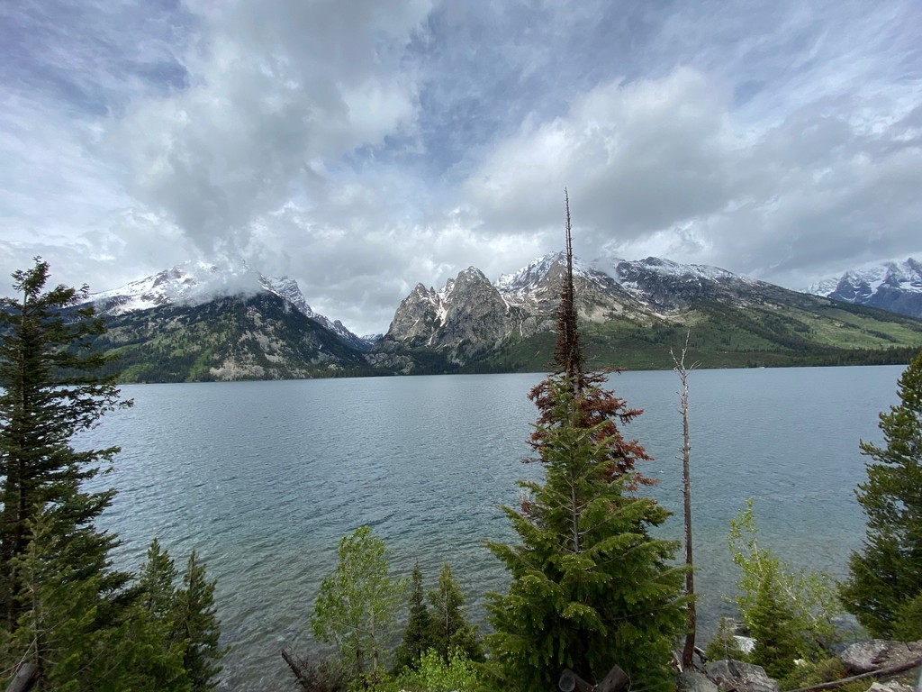 Jenny Lake