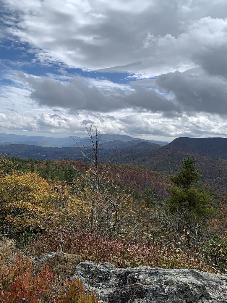 Yellow Mountain