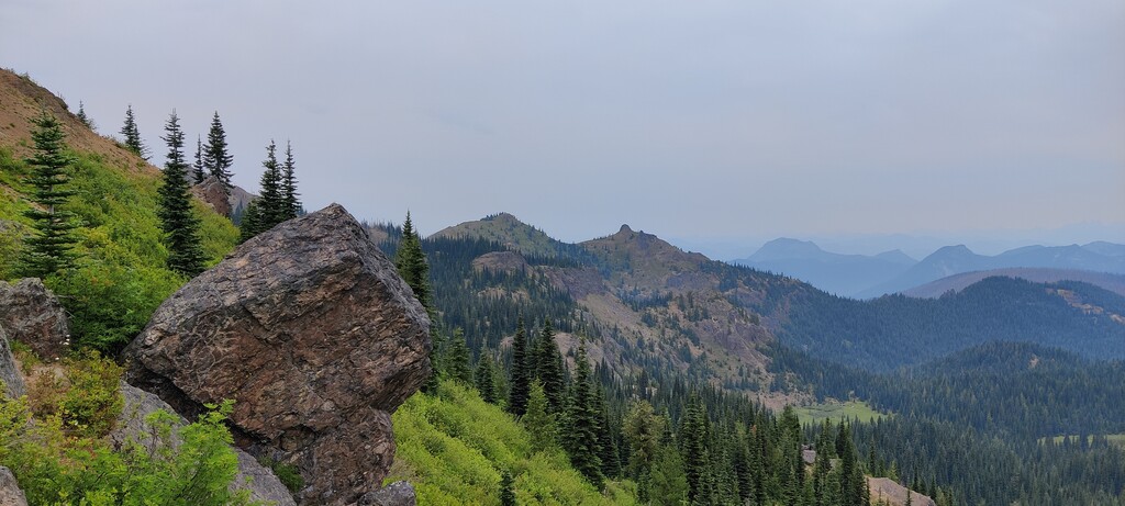 Noble Knob