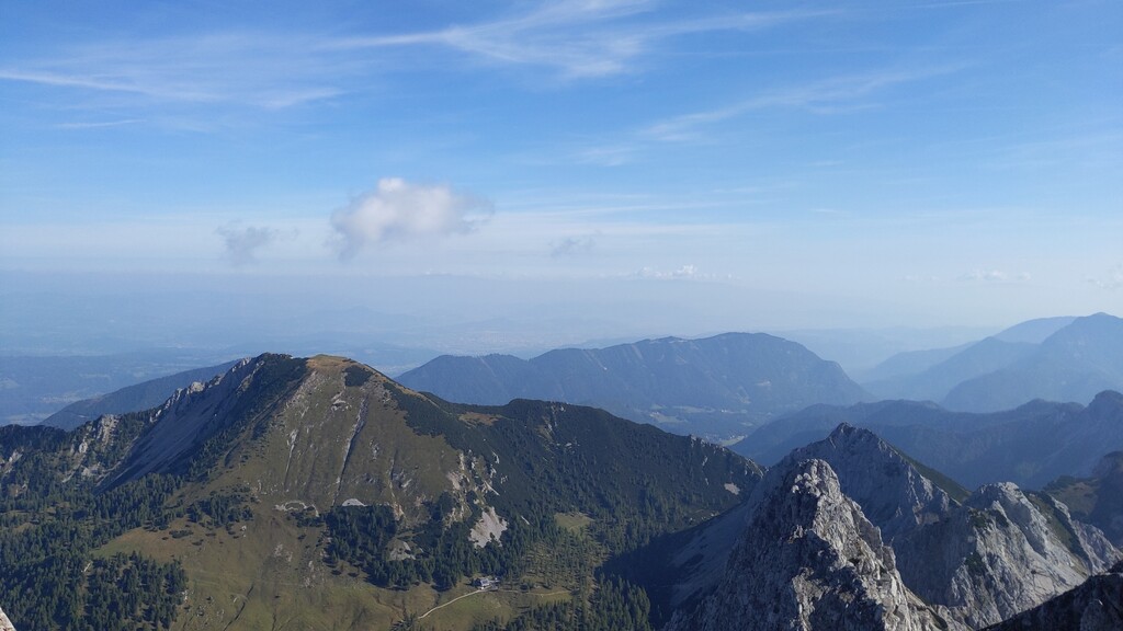 Domen Košir