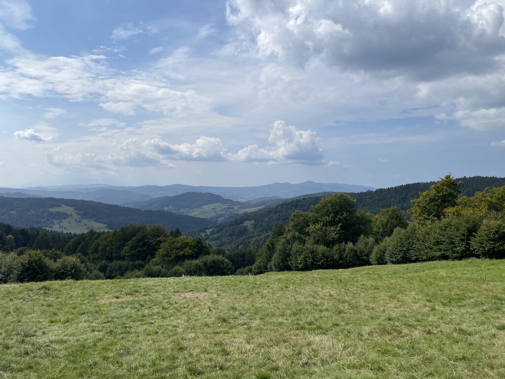 Marek W.