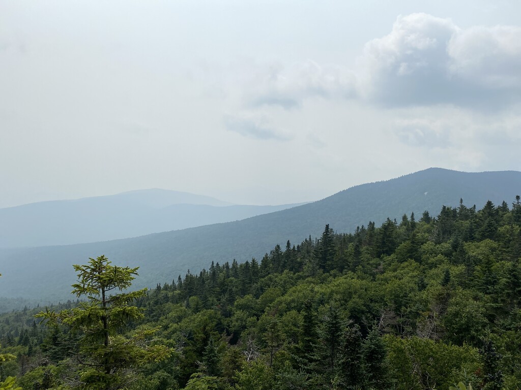 Mount Roosevelt