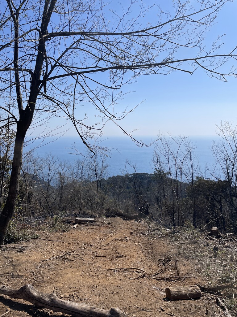 Monte Pollone