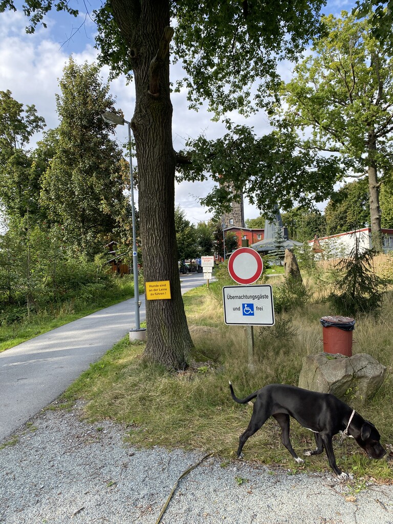 Mönchswalder Berg