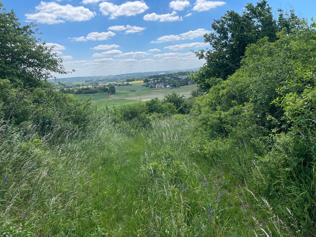 Zaklikowa