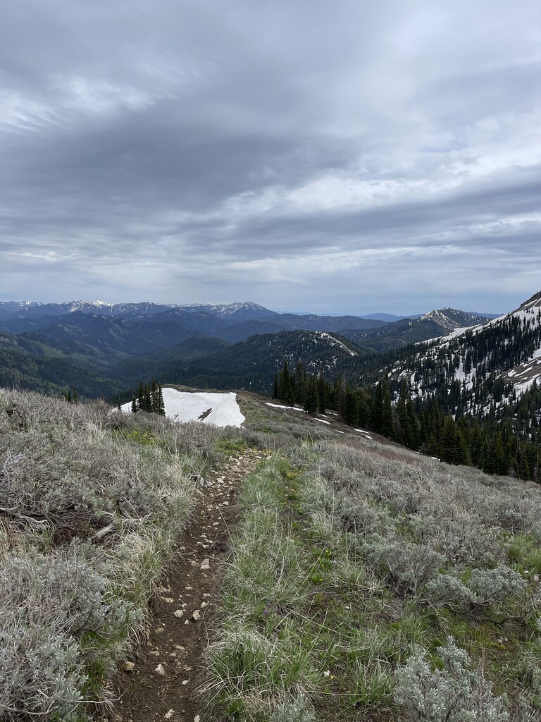 Chicken Peak