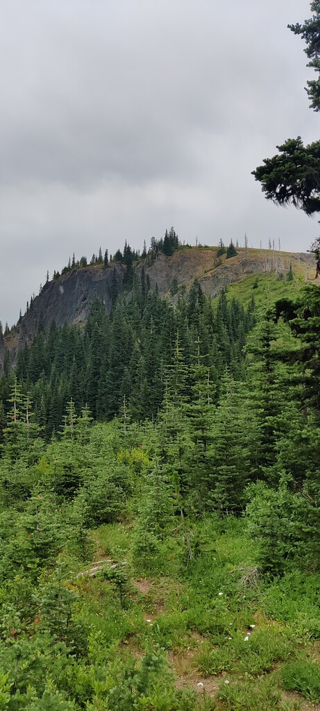 Mutton Mountain
