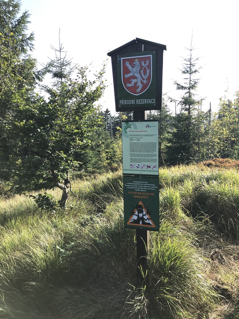 Kiczory / Kyčera