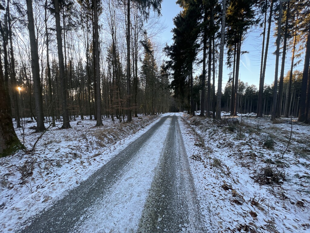 Salvátor [Žďár nad Sázavou-Zámek Žďár]
