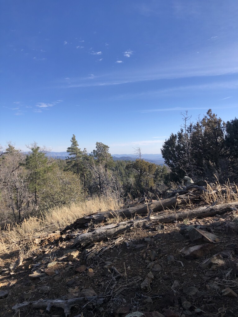 West Spruce Mountain