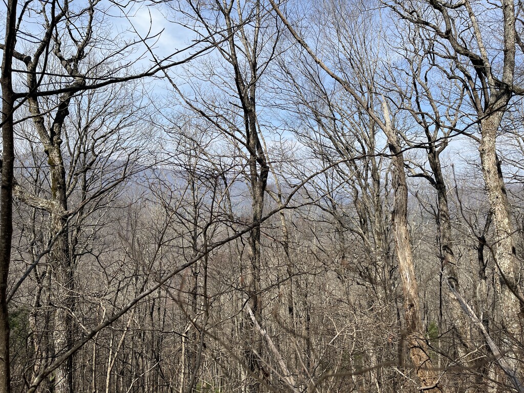 Henson Gap