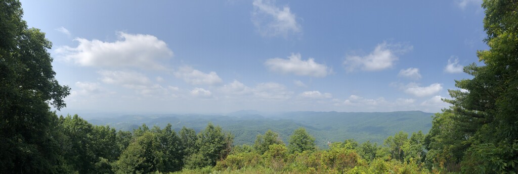 Mollys Knob